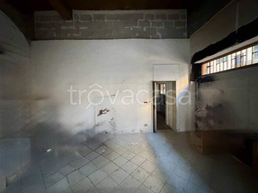 immagine annuncio 6 di 14