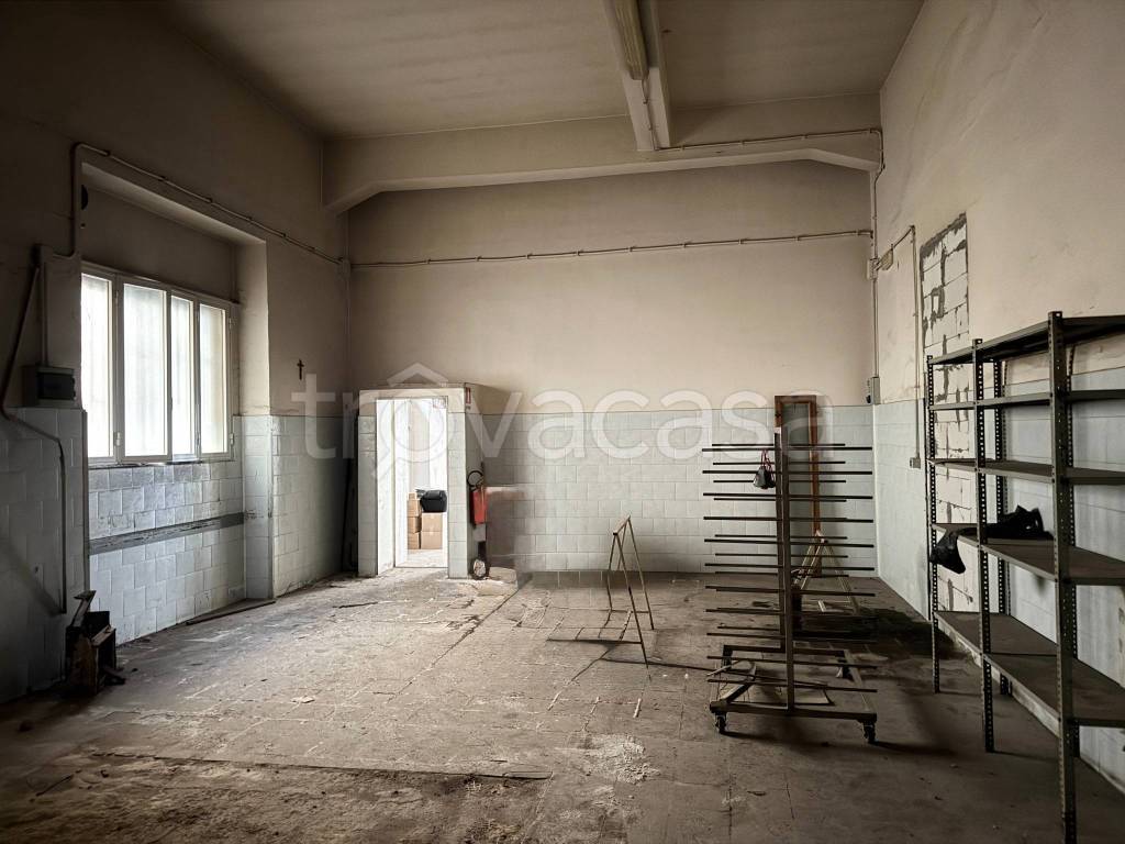 immagine annuncio 9 di 14