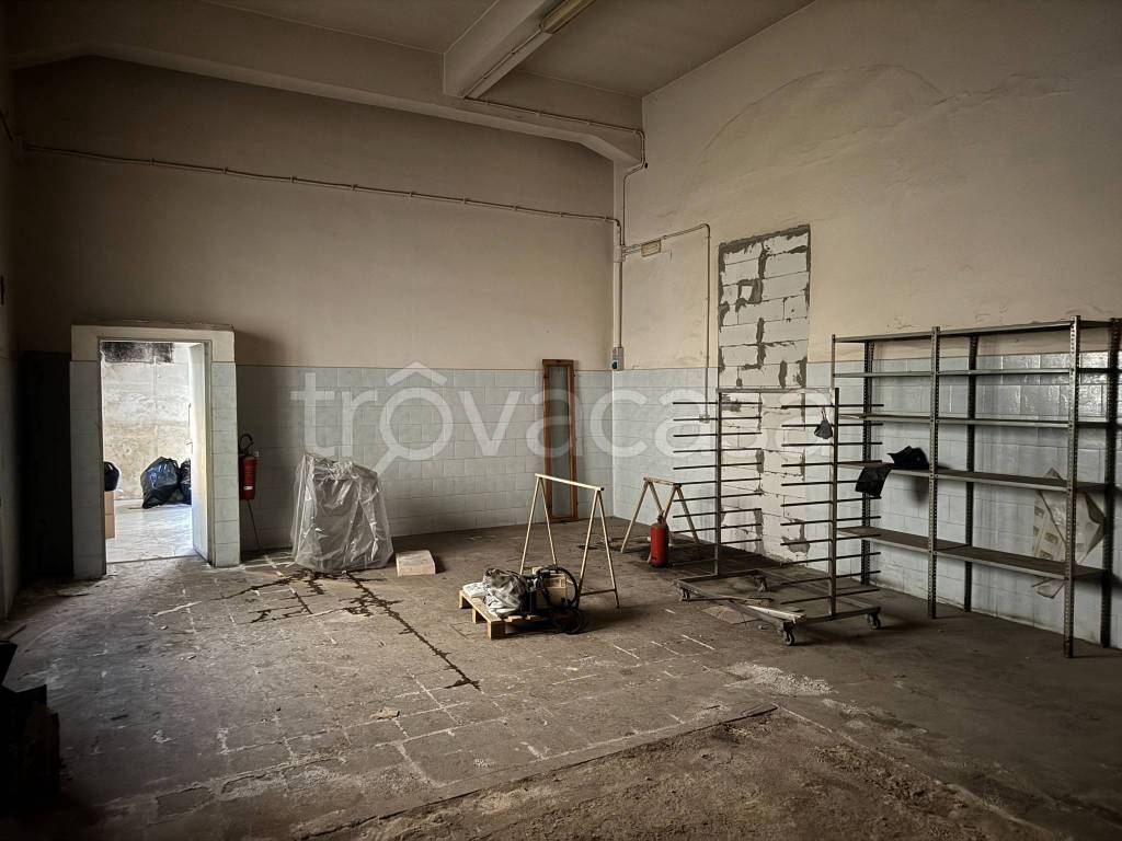 immagine annuncio 12 di 14