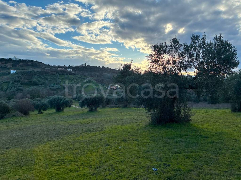 immagine annuncio 1 di 3