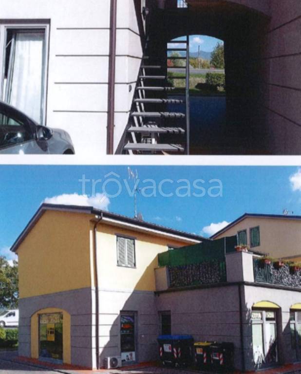 immagine annuncio 2 di 11