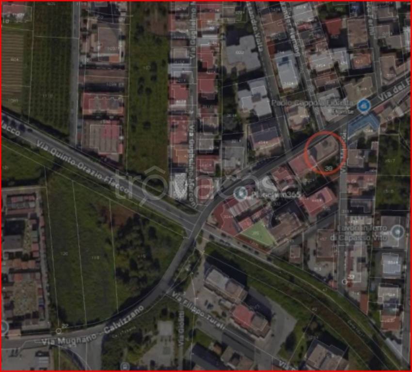 immagine annuncio 11 di 12