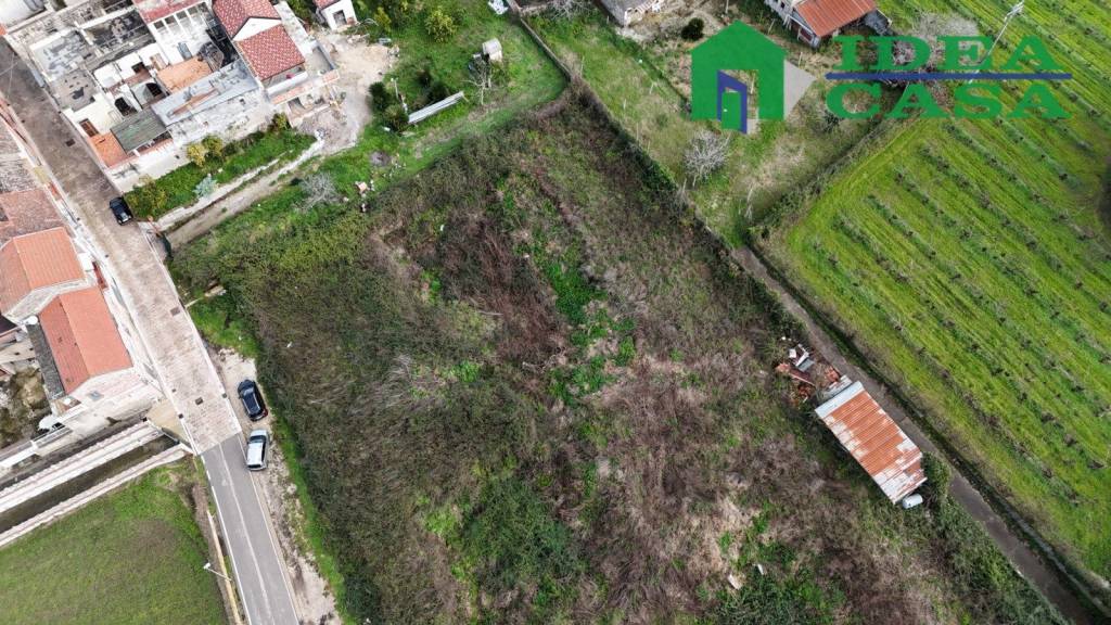 immagine annuncio 5 di 8