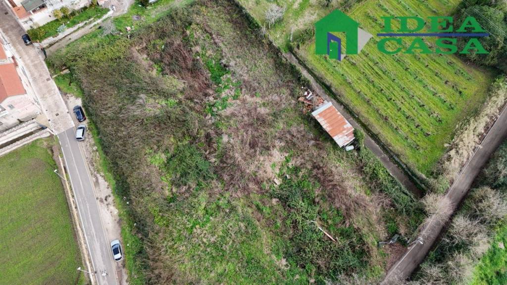 immagine annuncio 6 di 8