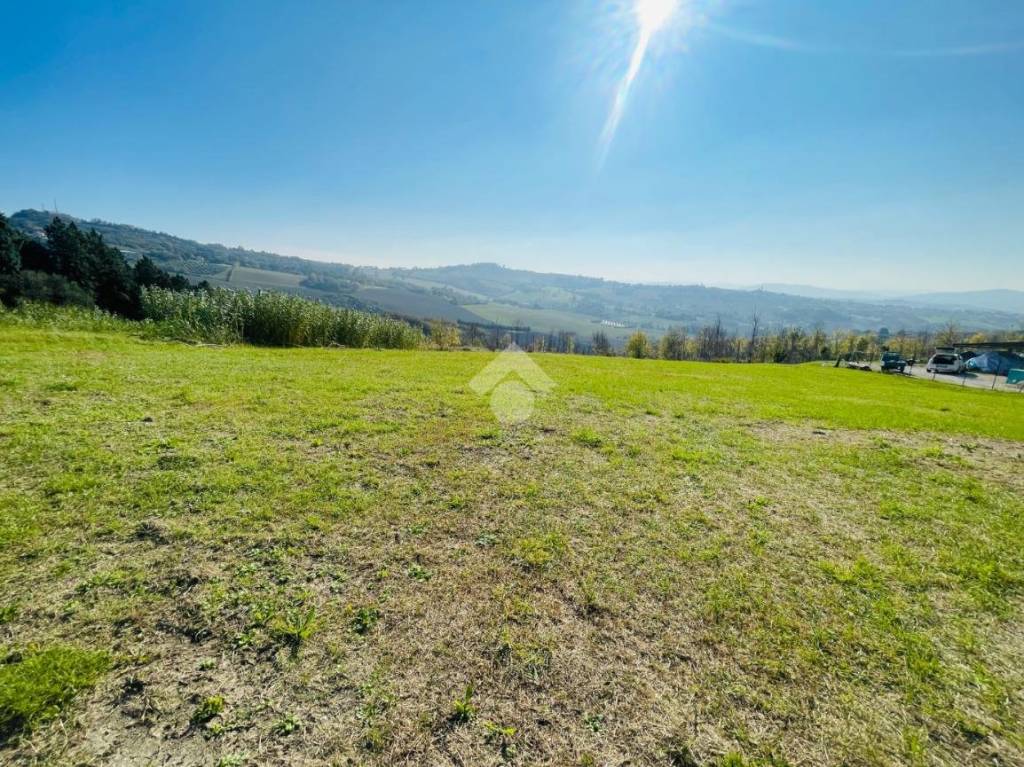 immagine annuncio 9 di 12