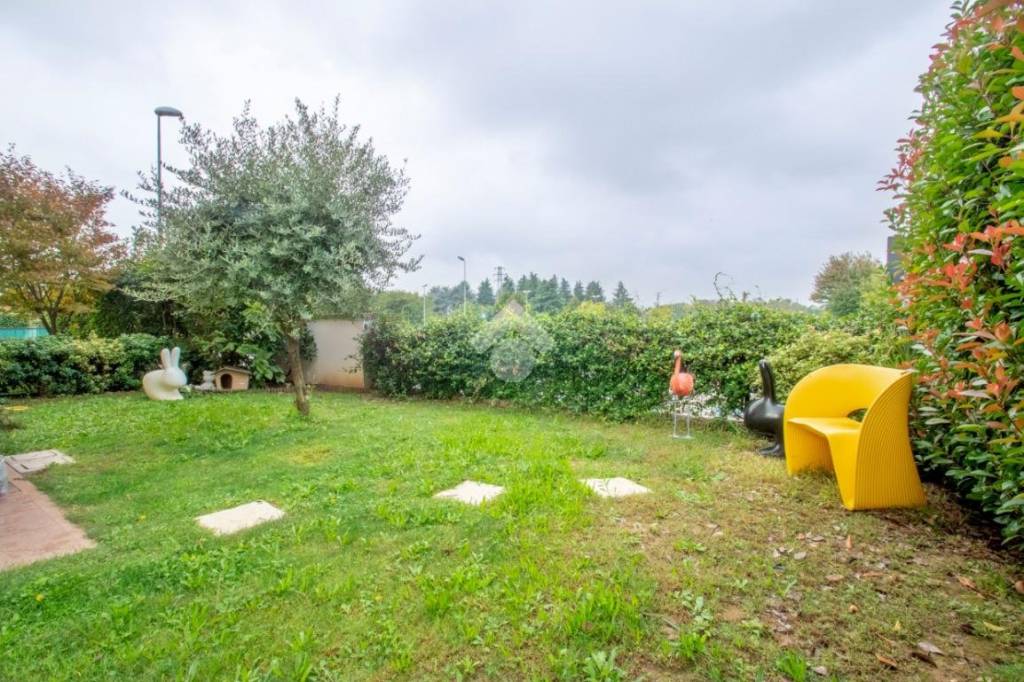 immagine annuncio 9 di 11