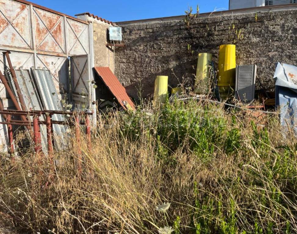 immagine annuncio 2 di 12