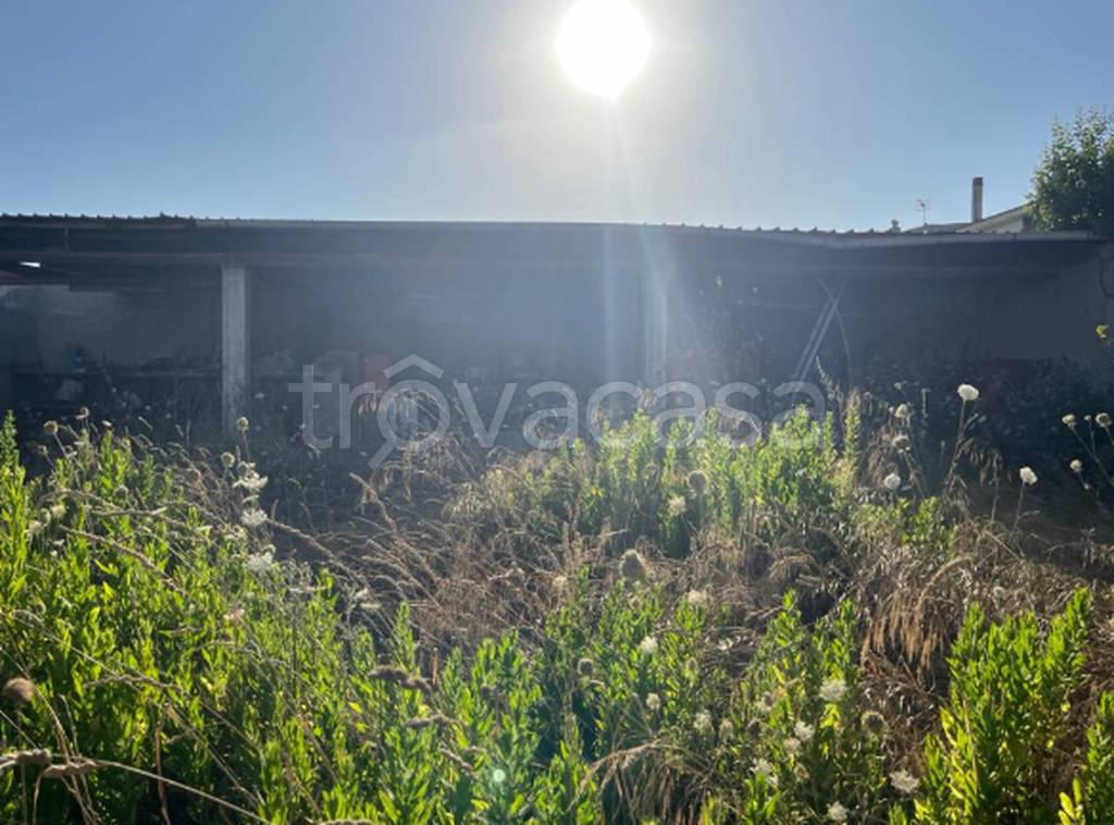 immagine annuncio 4 di 12