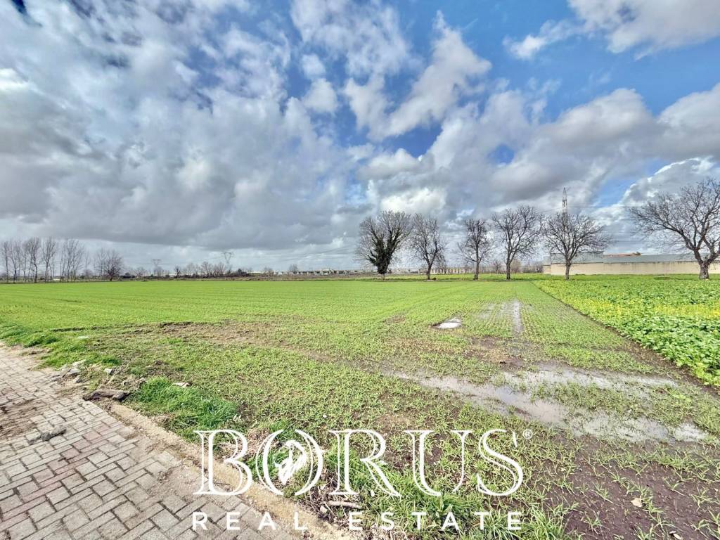 immagine annuncio 9 di 15