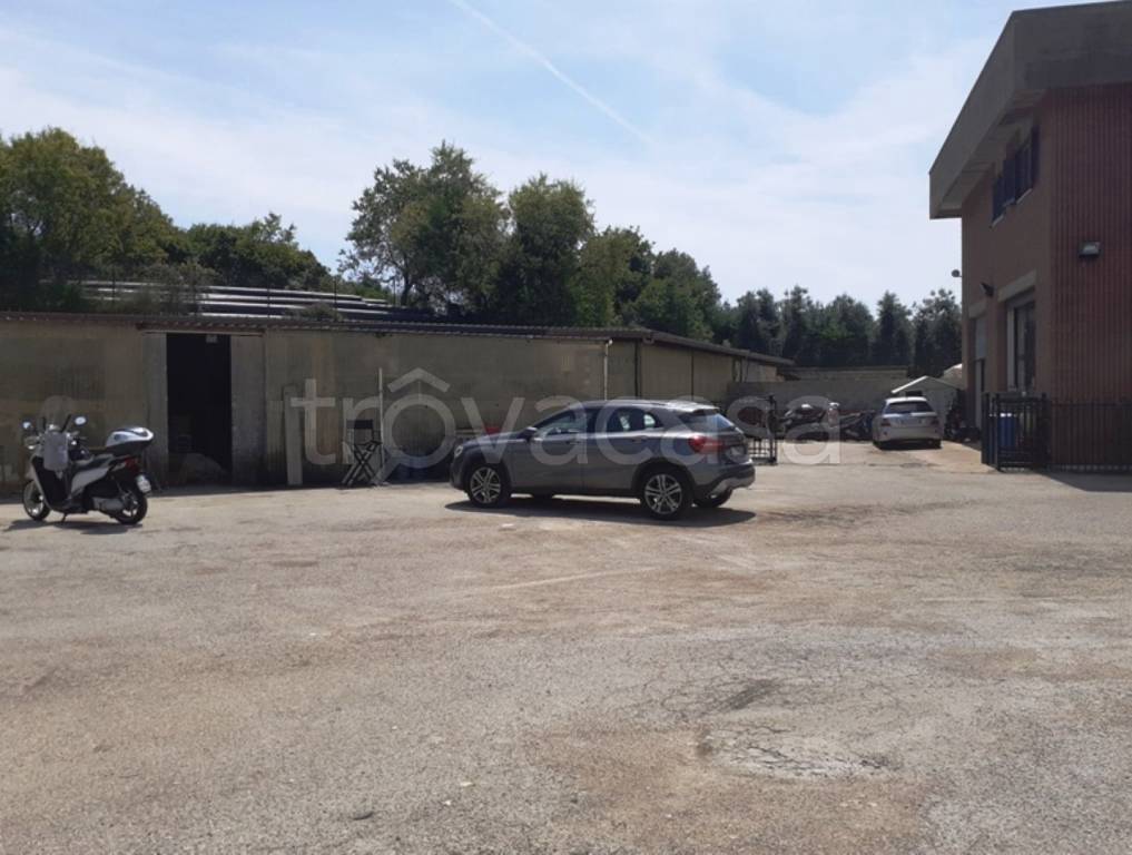 immagine annuncio 4 di 11