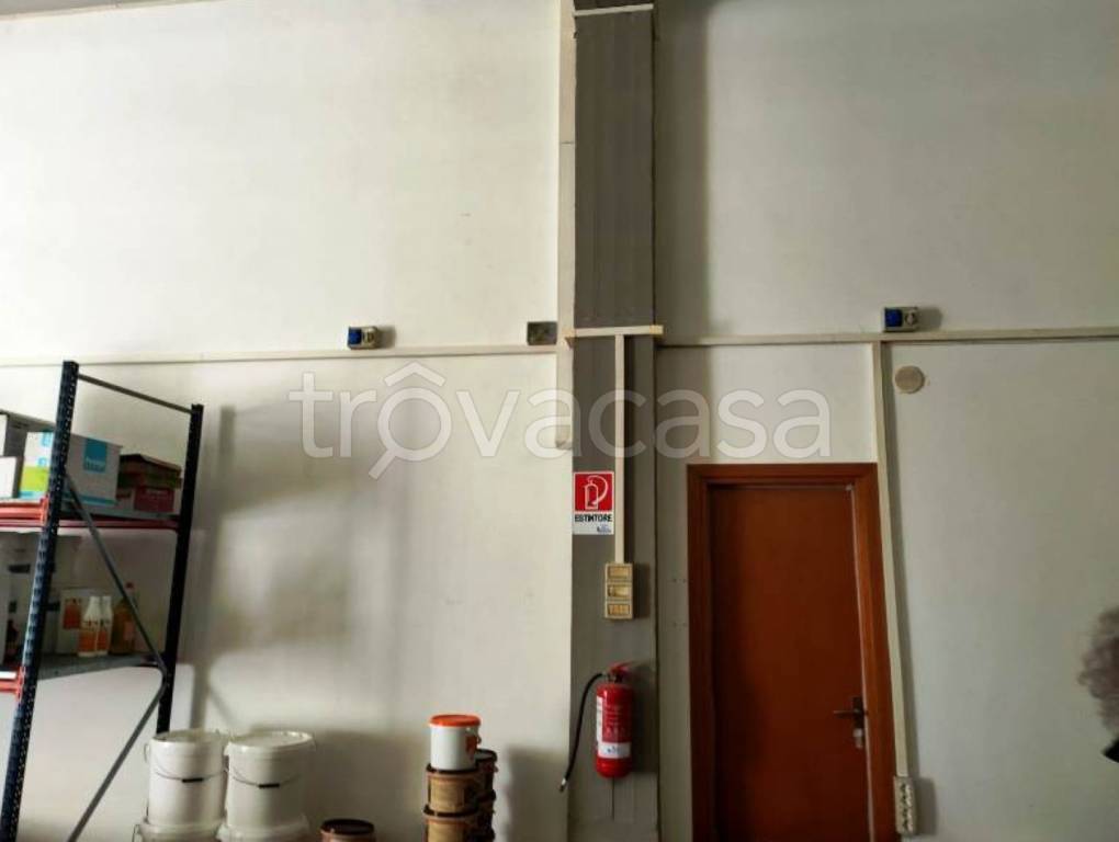 immagine annuncio 5 di 11