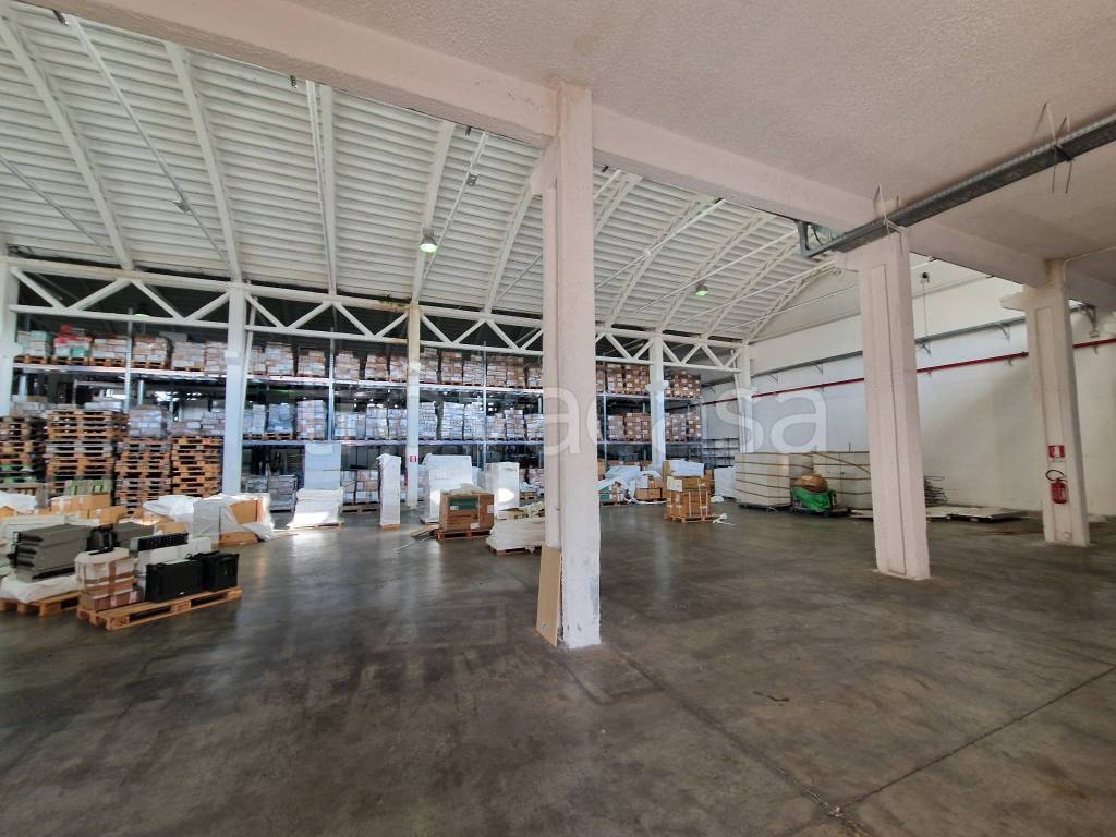 immagine annuncio 9 di 15