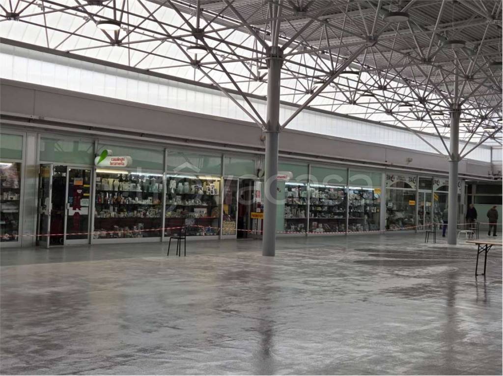 immagine annuncio 4 di 6