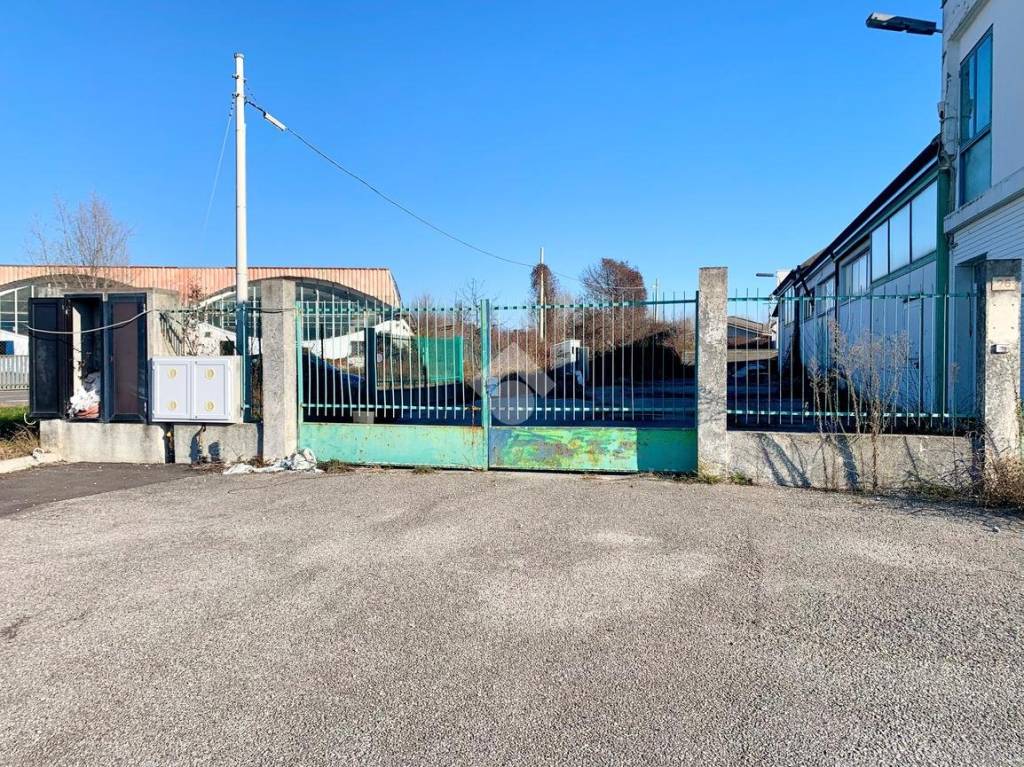 immagine annuncio 11 di 15