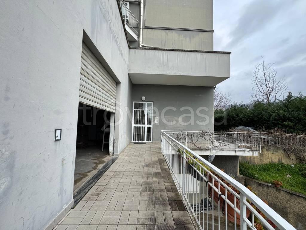 immagine annuncio 9 di 12