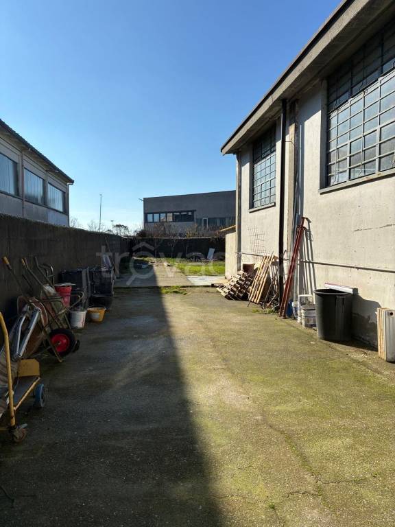 immagine annuncio 12 di 15