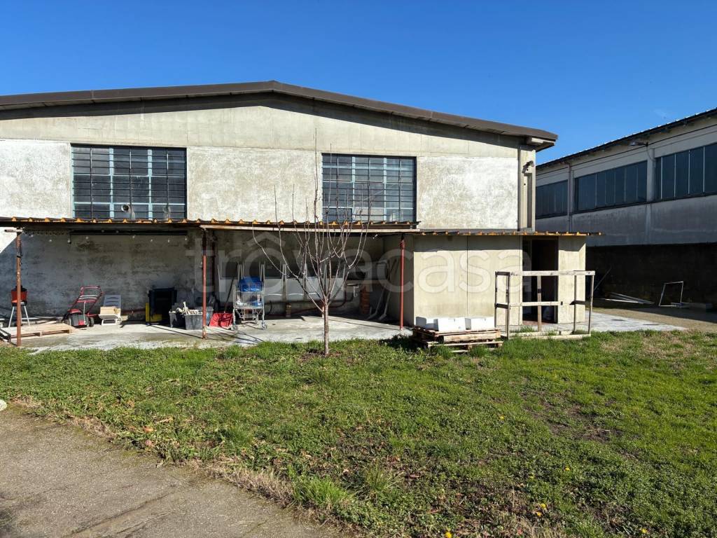 immagine annuncio 4 di 15