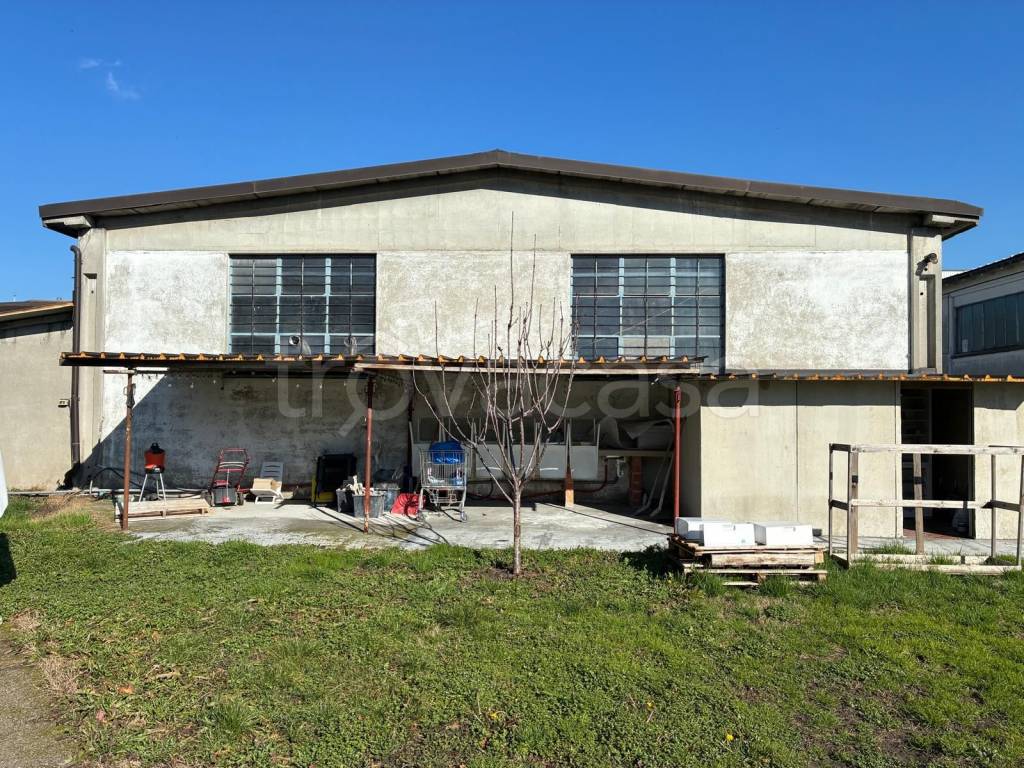 immagine annuncio 7 di 15