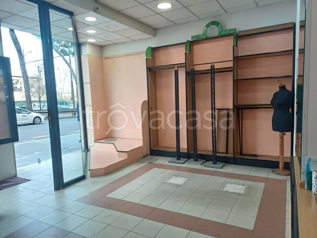 immagine annuncio 6 di 14