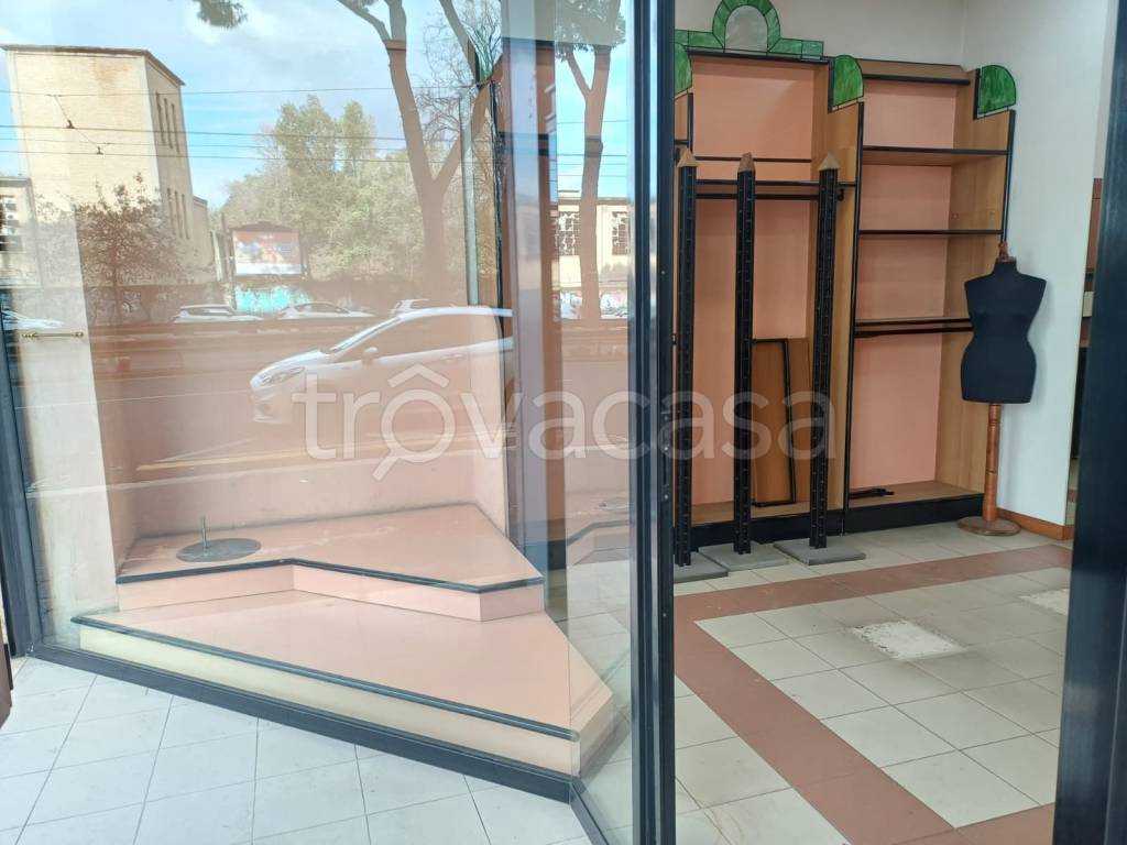 immagine annuncio 8 di 14