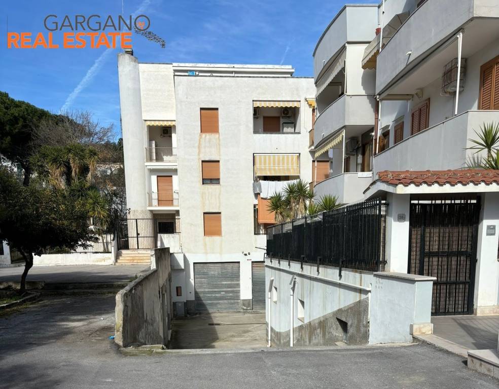 immagine annuncio 5 di 6