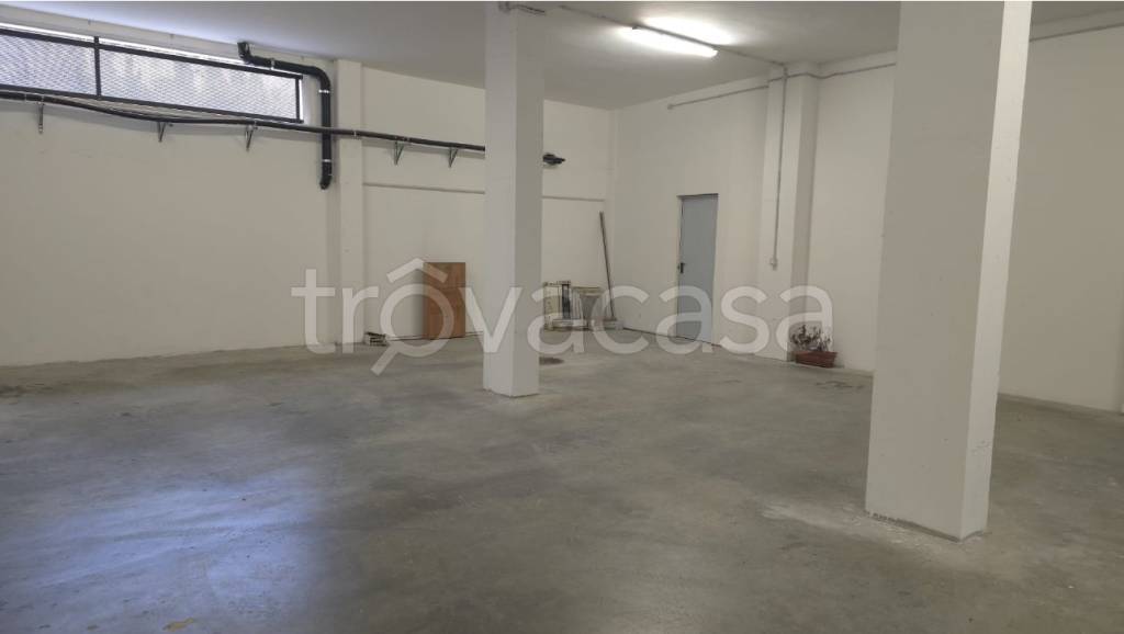 immagine annuncio 7 di 13