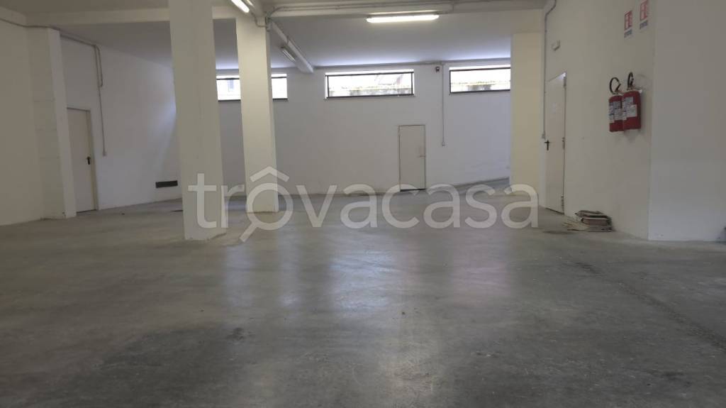 immagine annuncio 9 di 13