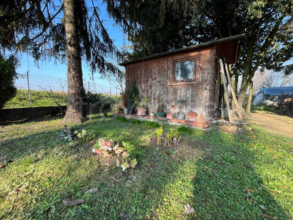 immagine annuncio 13 di 15