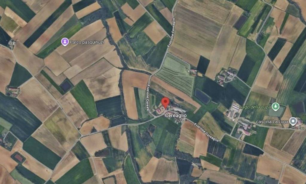 immagine annuncio 3 di 14