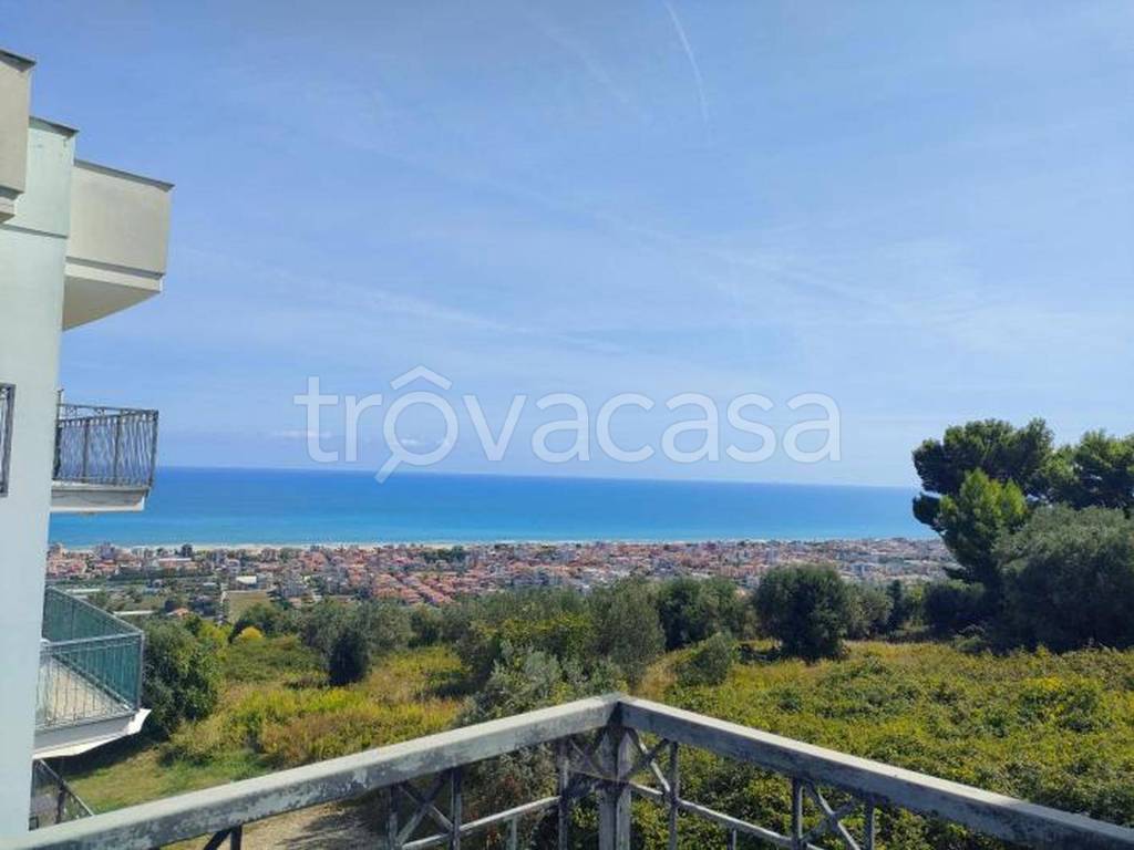 immagine annuncio 9 di 12