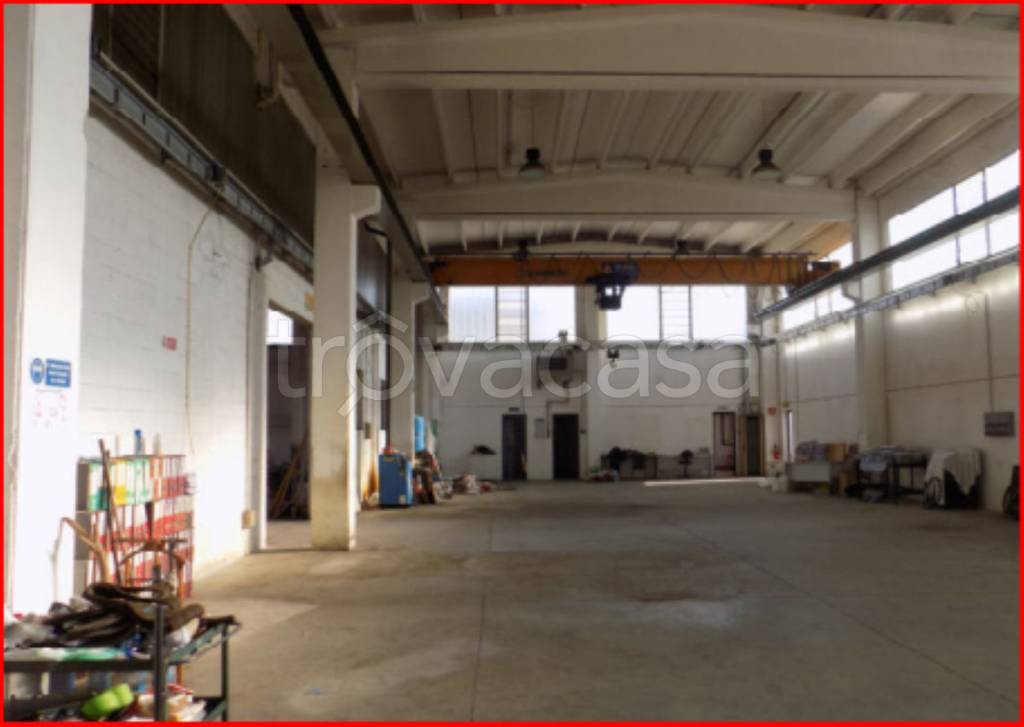 immagine annuncio 9 di 15