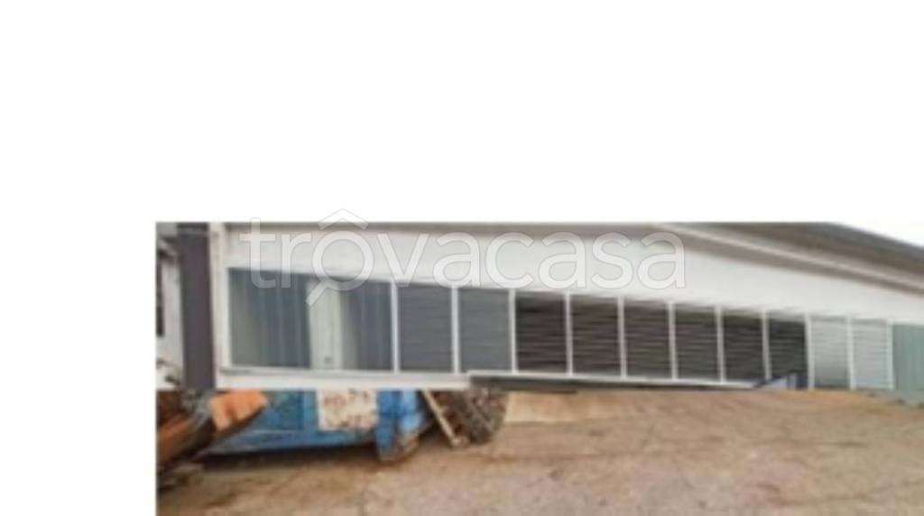 immagine annuncio 6 di 9