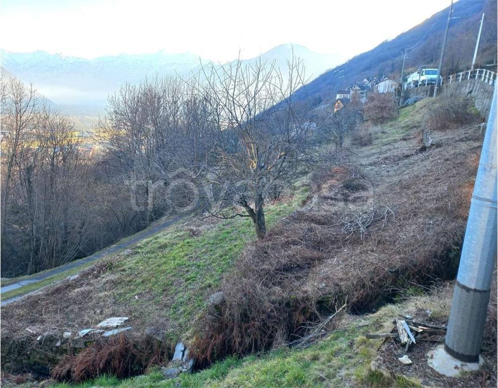 immagine annuncio 6 di 10