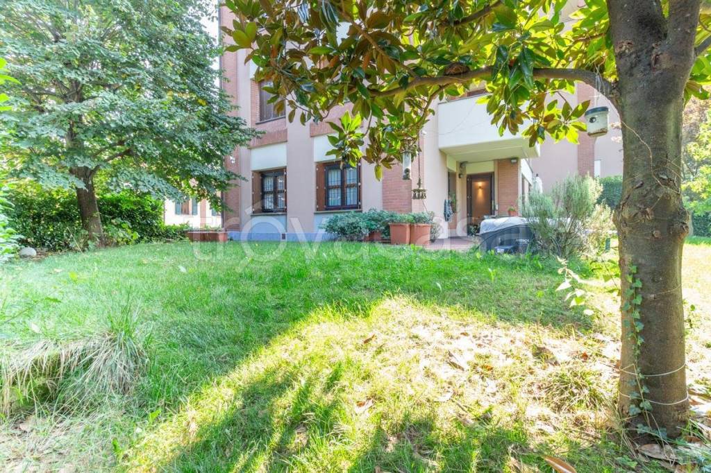 immagine annuncio 10 di 15