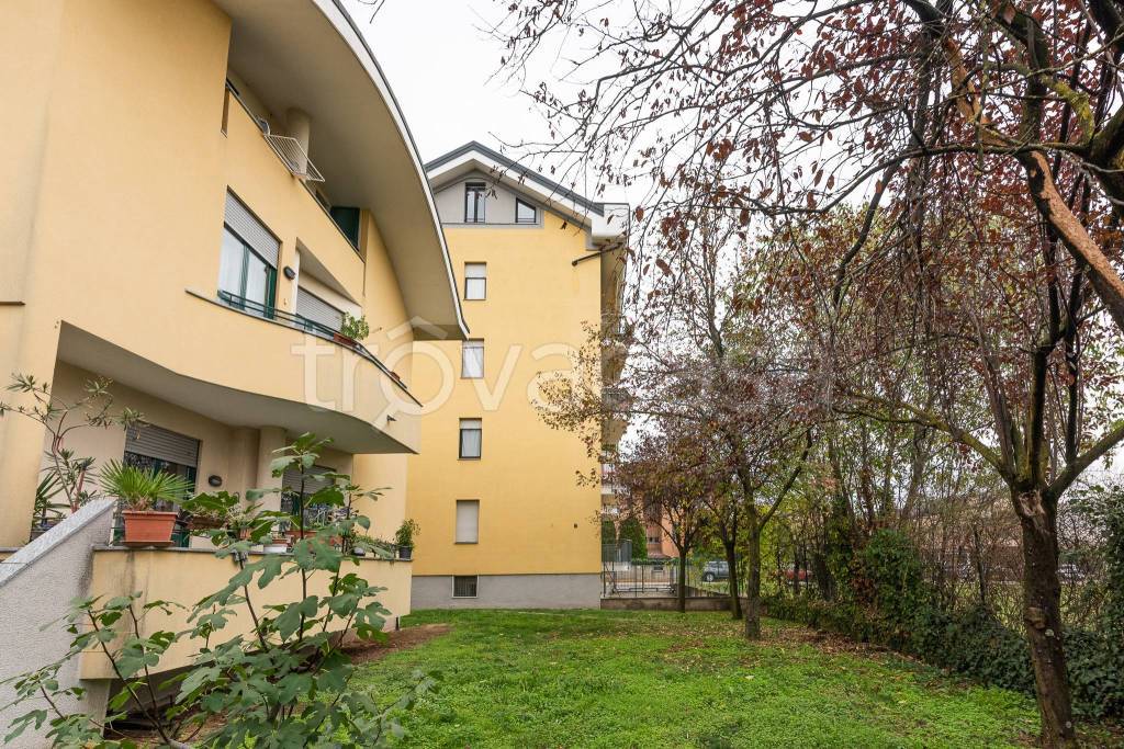 immagine annuncio 1 di 15