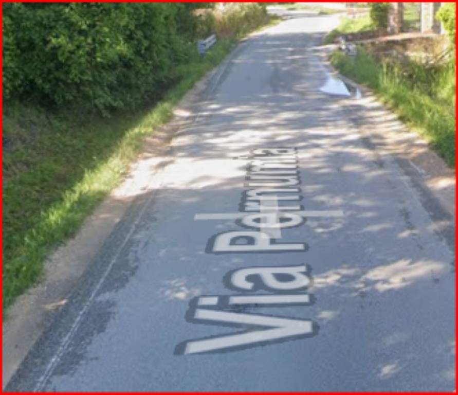 immagine annuncio 6 di 12