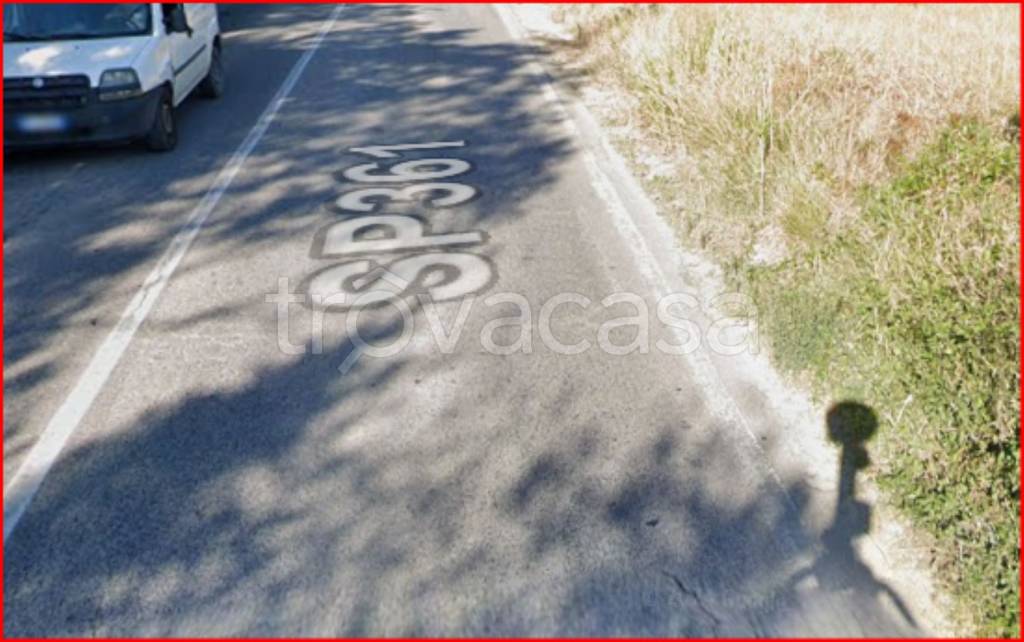 immagine annuncio 8 di 12