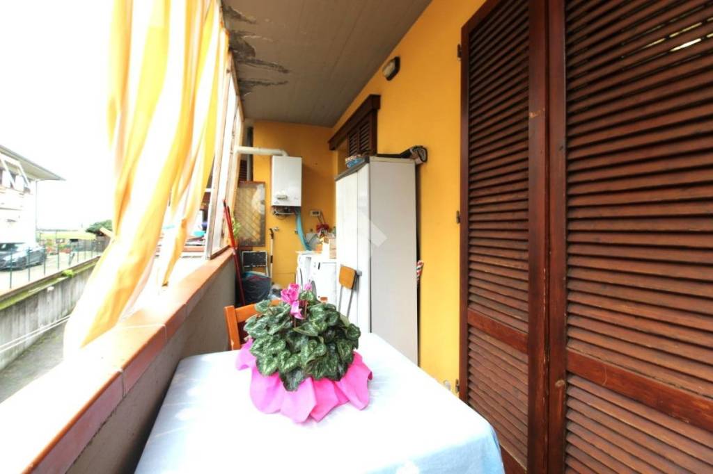 immagine annuncio 4 di 15