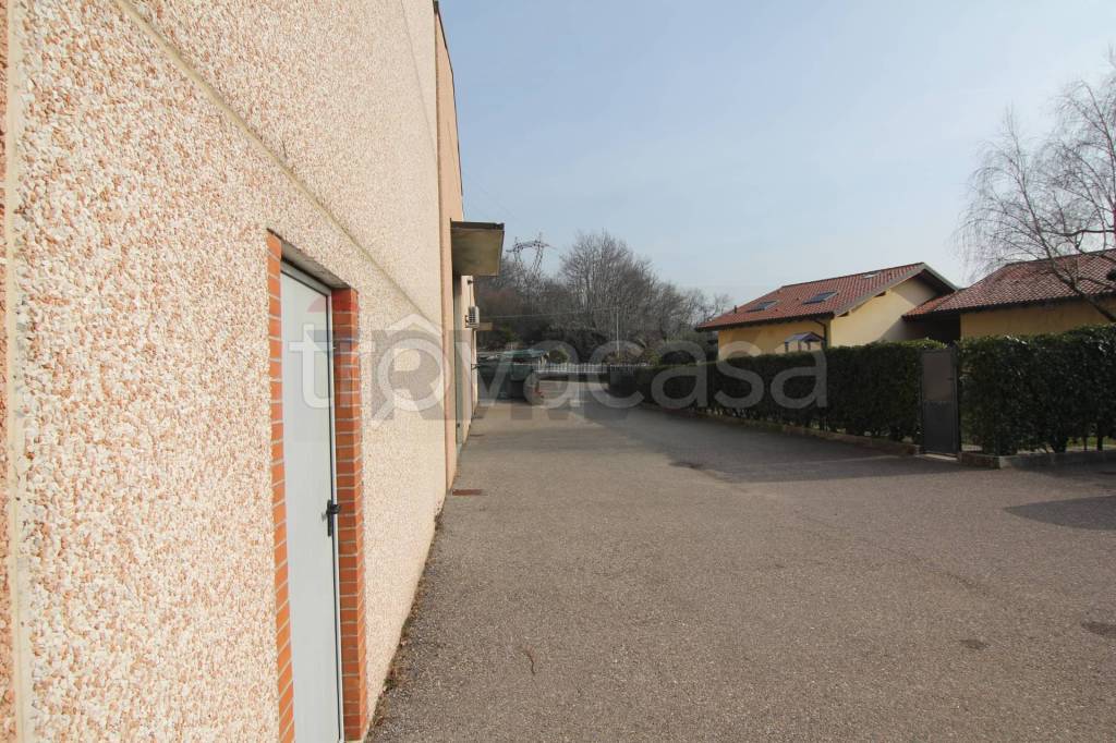 immagine annuncio 11 di 15