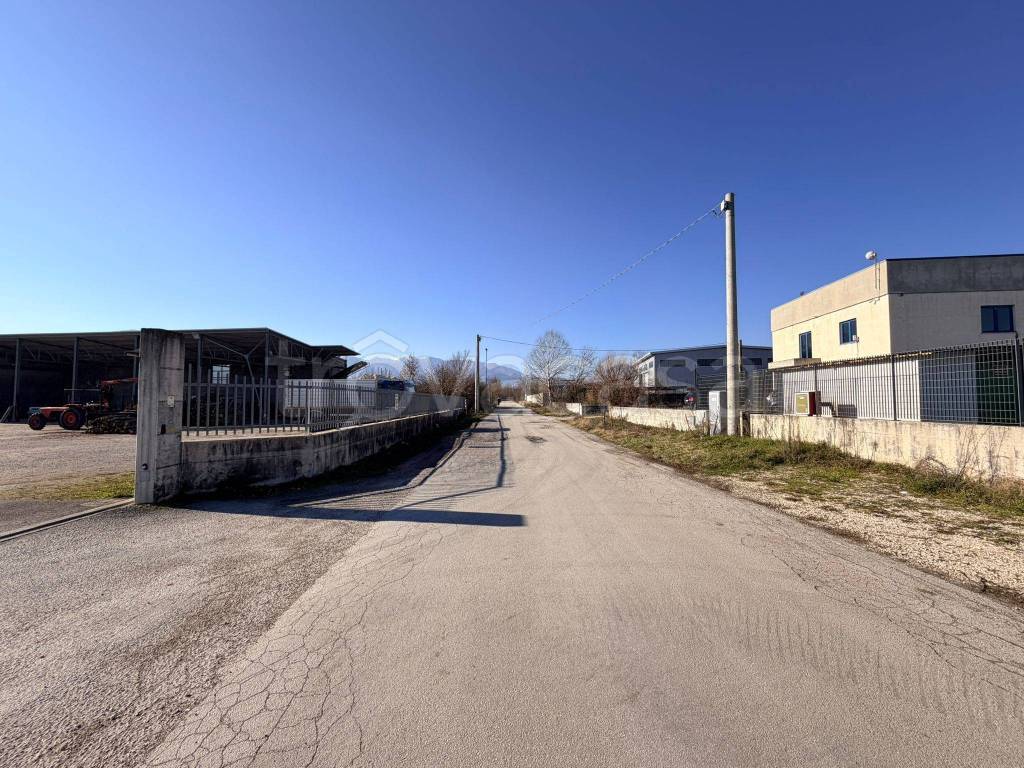 immagine annuncio 5 di 12