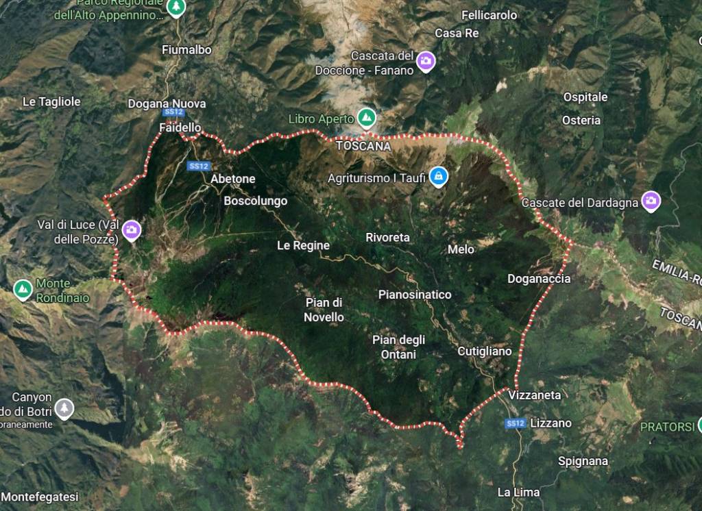 immagine annuncio 11 di 15