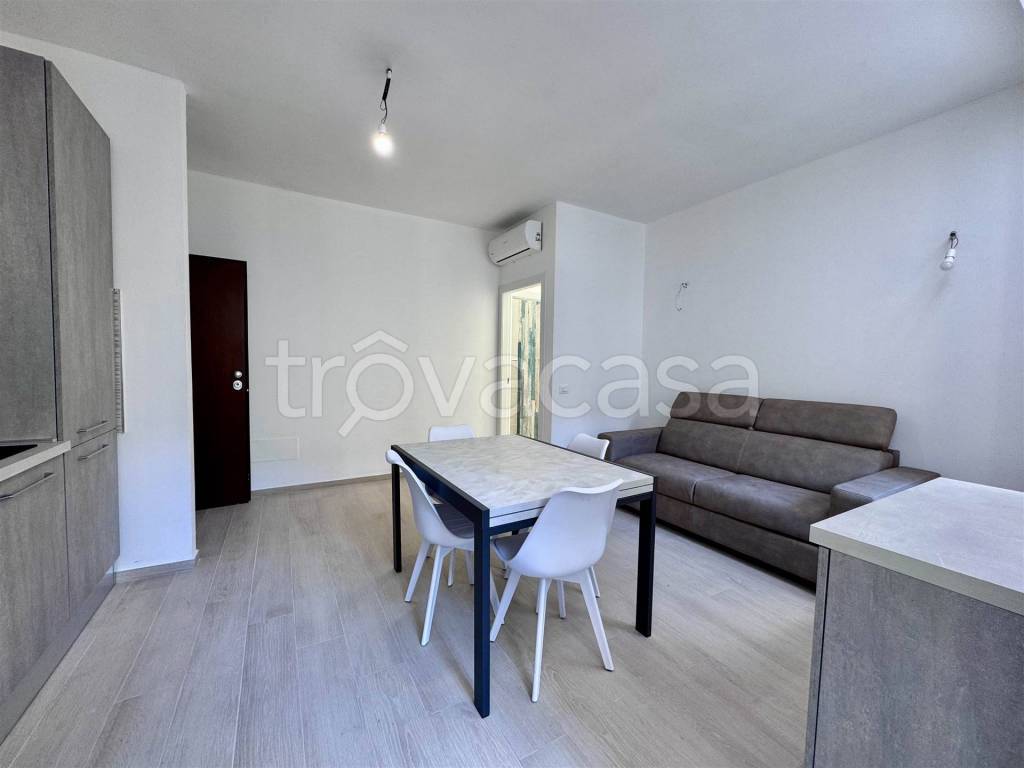 immagine annuncio 3 di 12