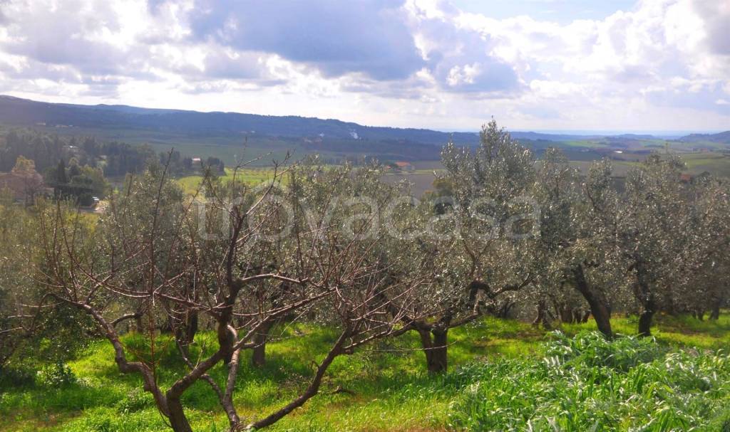 immagine annuncio 7 di 9