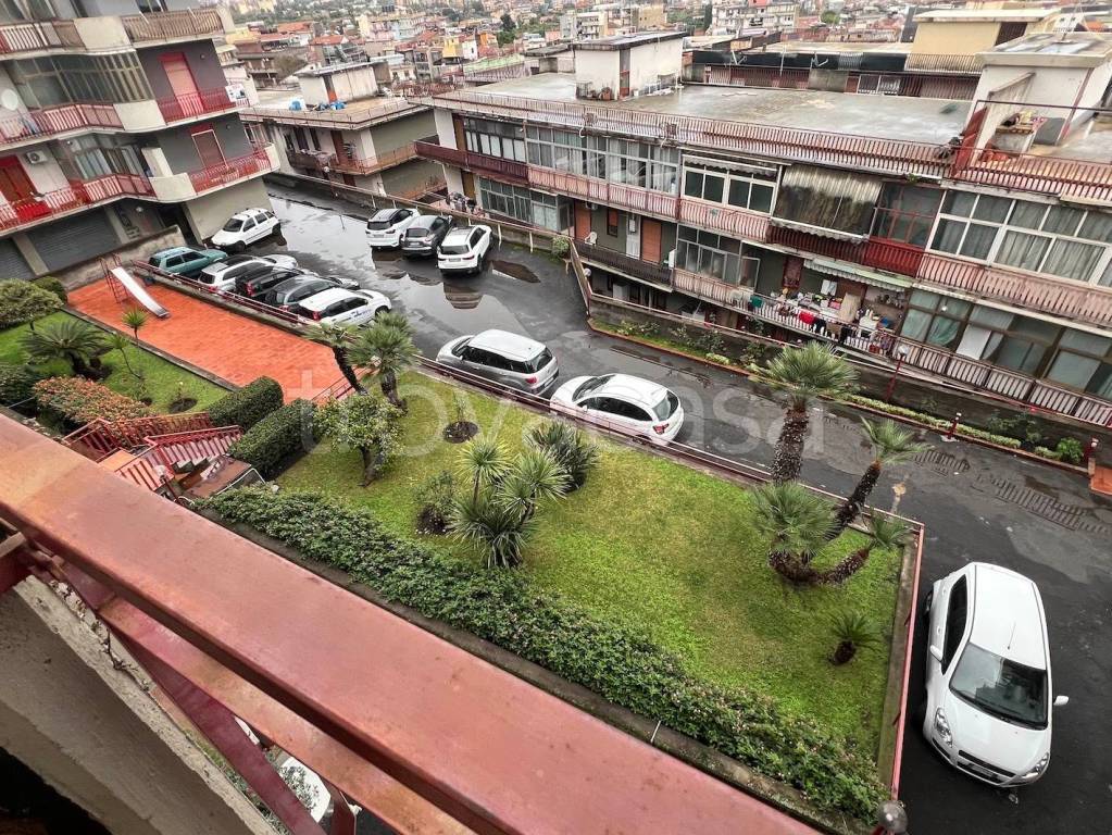 immagine annuncio 0 di 15