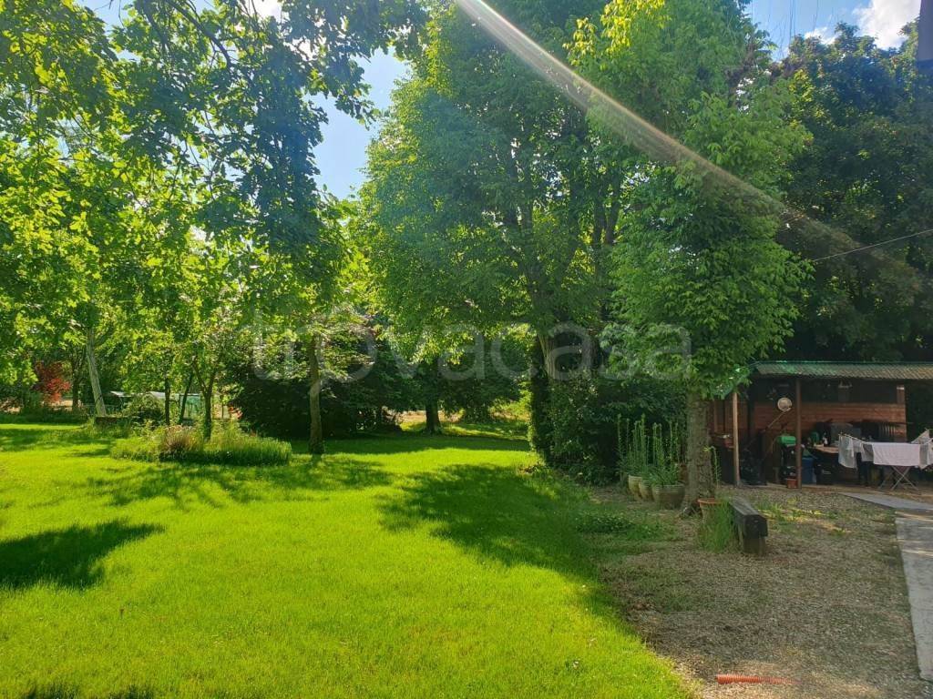 immagine annuncio 3 di 14