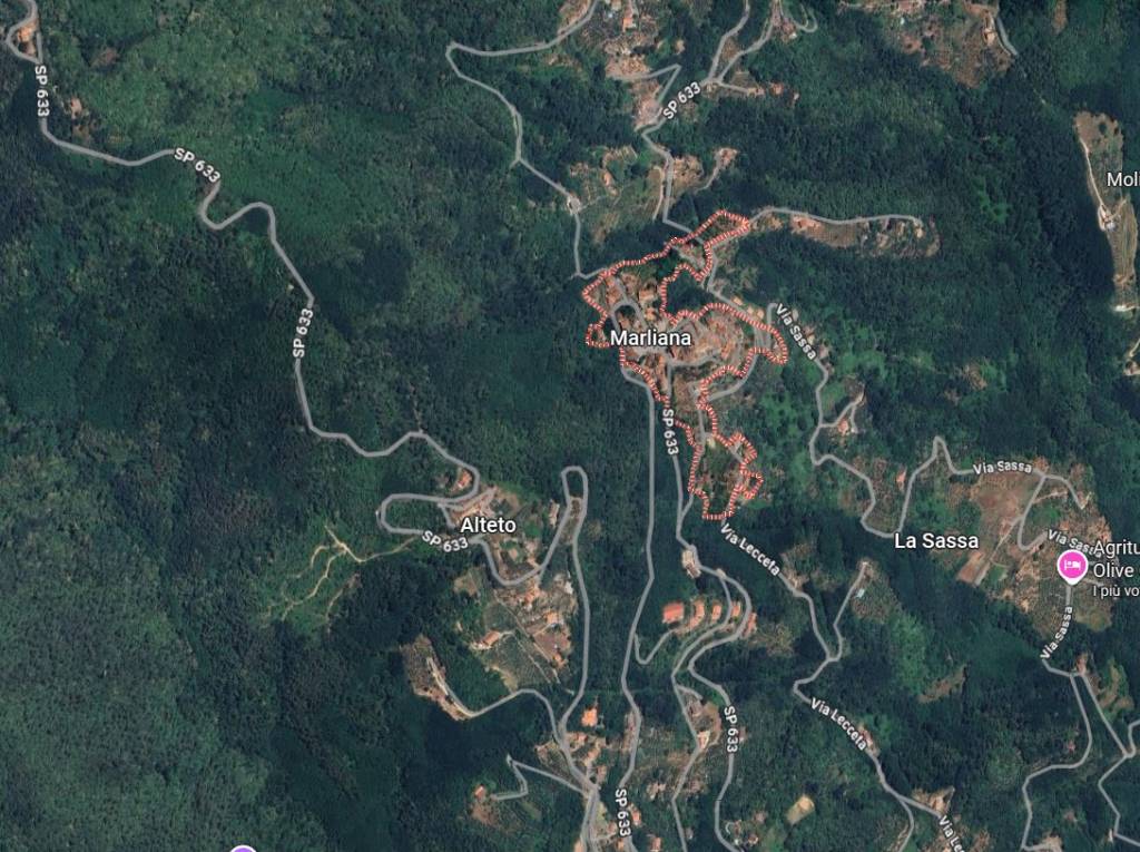 immagine annuncio 12 di 15