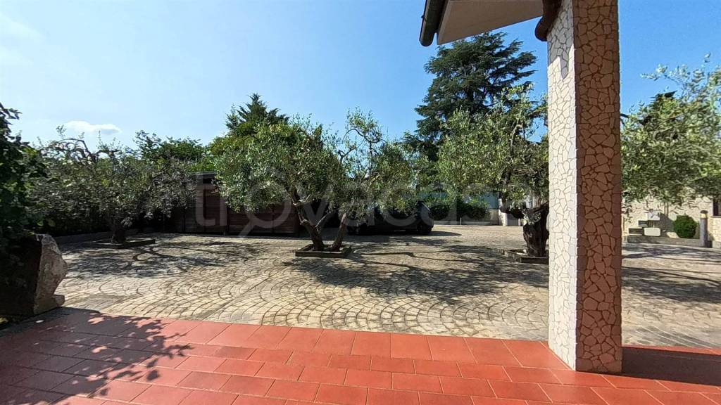 immagine annuncio 14 di 15