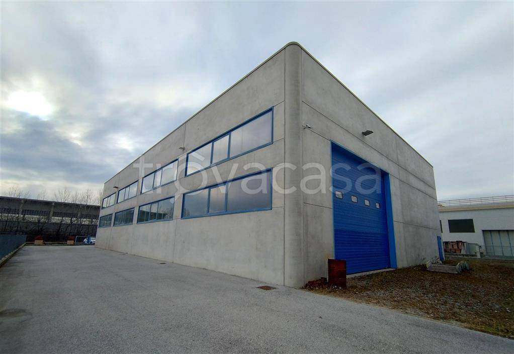 immagine annuncio 1 di 14