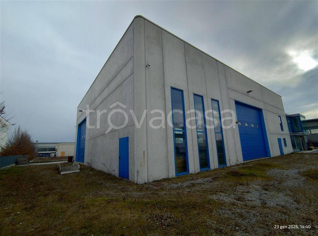 immagine annuncio 2 di 14