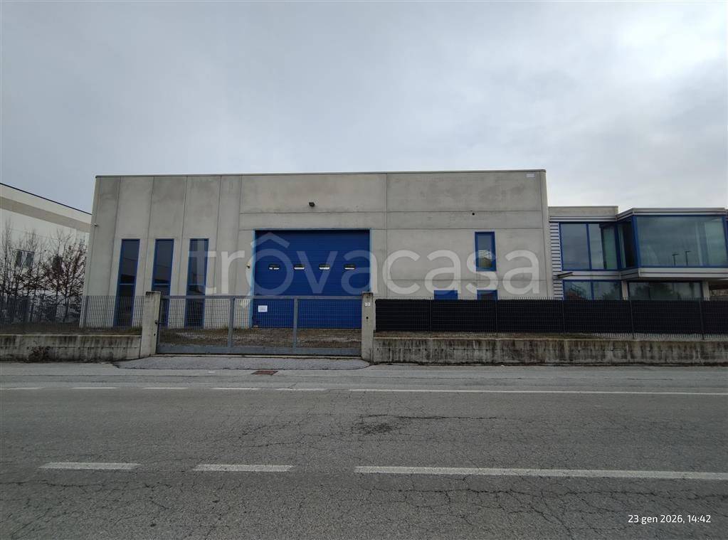 immagine annuncio 3 di 14